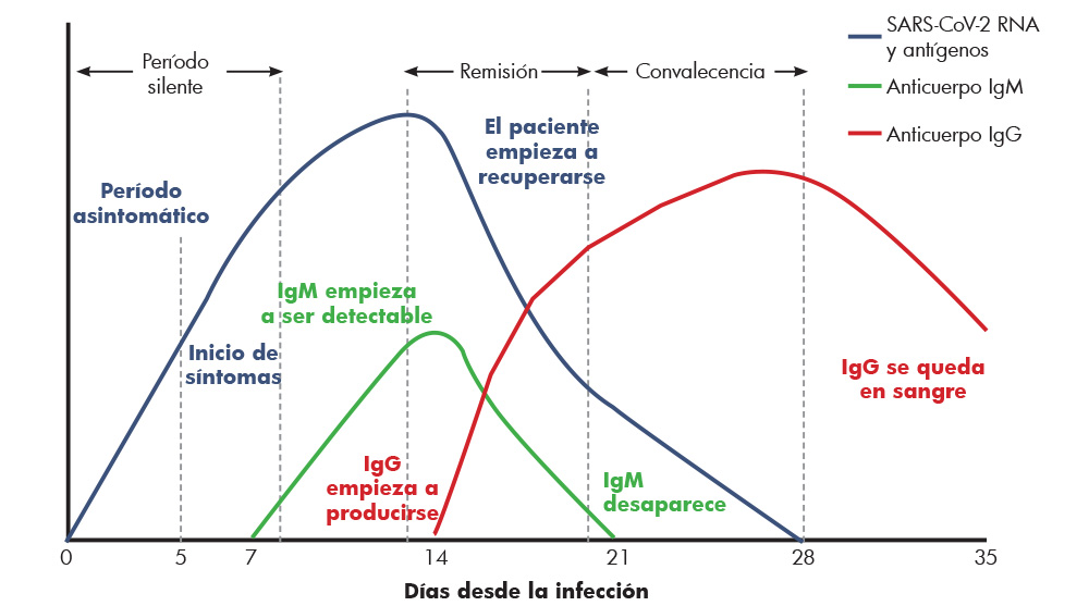 hcmarbella.com