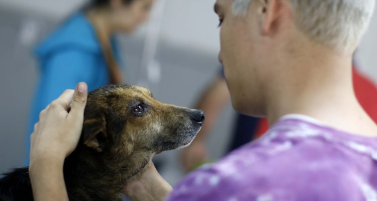 CONTEXTO | Mario Davila | Agencia UNO