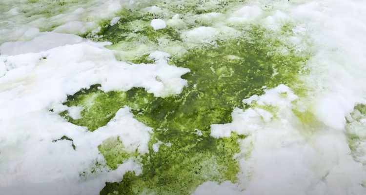 Universidad de Cambridge