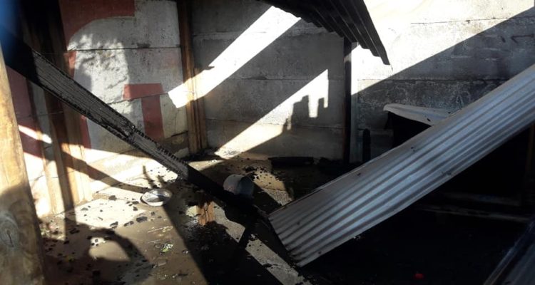 Protectora de Animales “San Francisco de Asís”