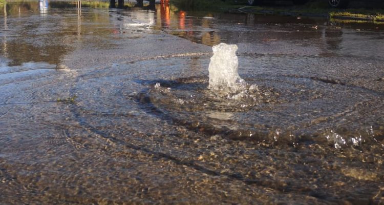 Robinson Cárdenas | RBB