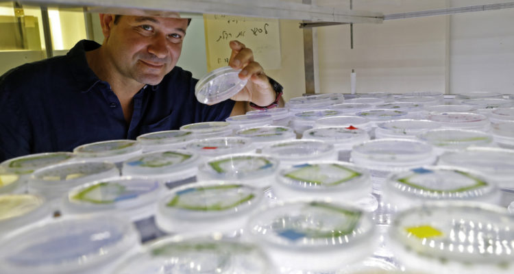 Jack Guez | Agence France-Presse