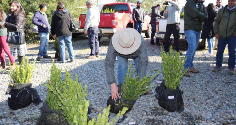 Fundación Reforestemos