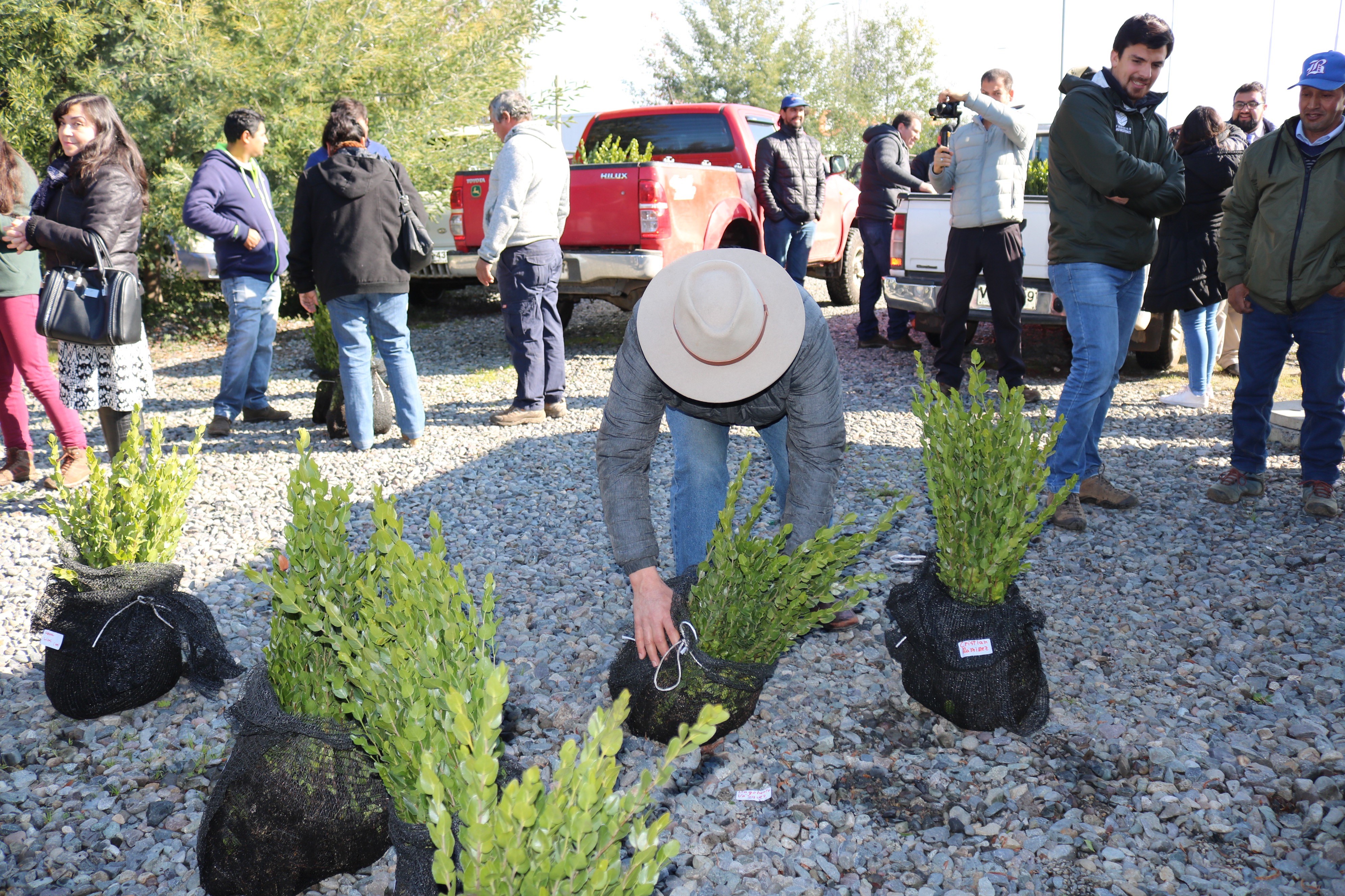 Fundación Reforestemos