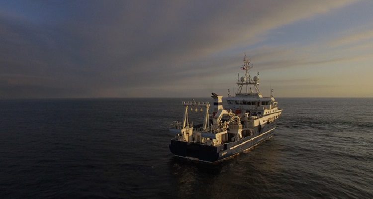 Atacamex, Imago Producciones (c)