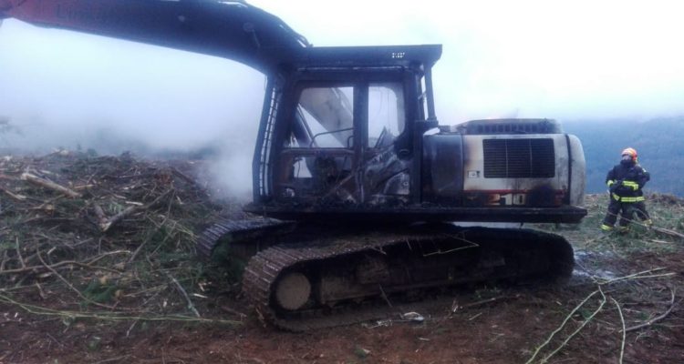 Cedida | RBB Valdivia