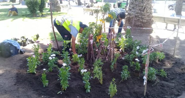 Cooperativa de Trabajo Renacer Patrimonial | Facebook