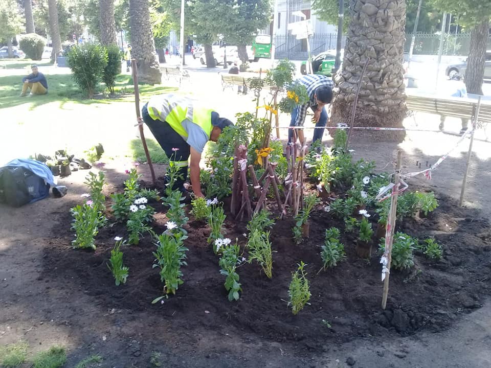 Cooperativa de Trabajo Renacer Patrimonial | Facebook
