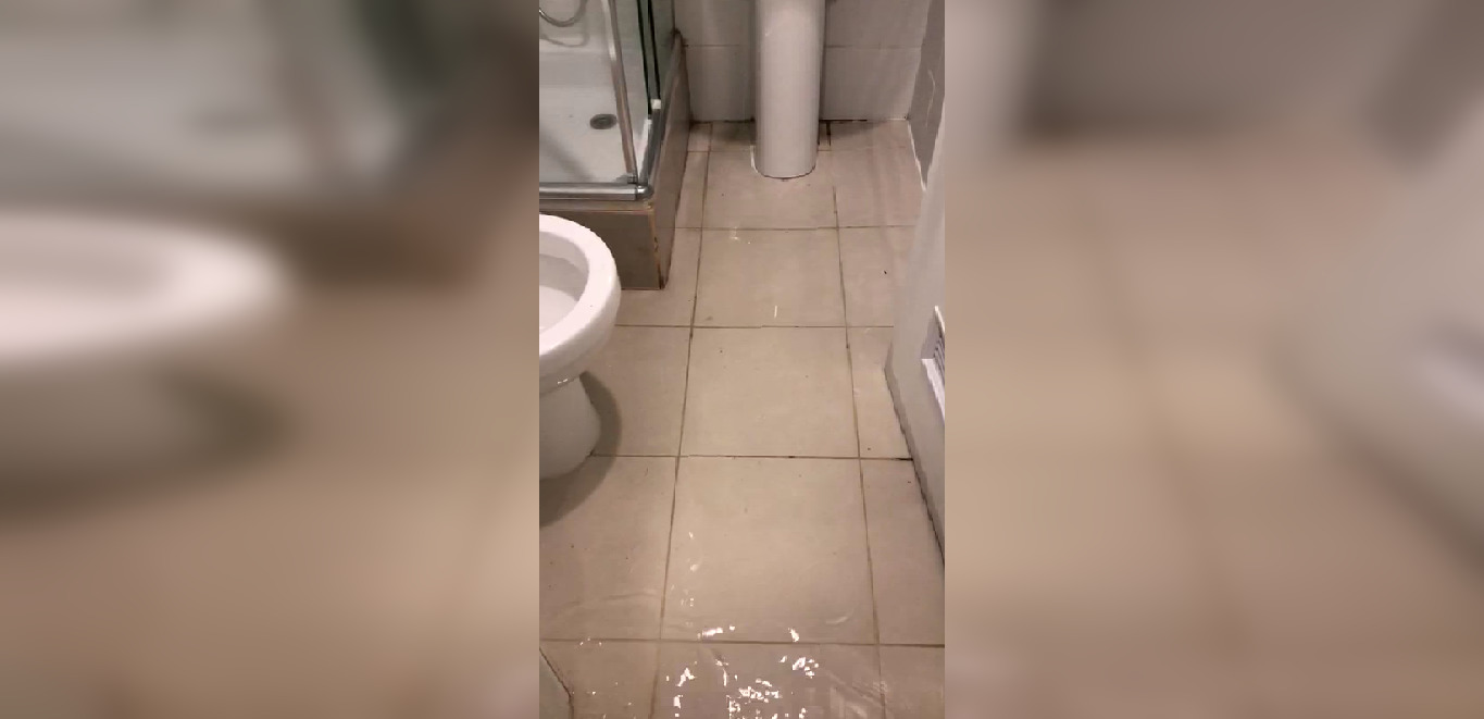 Captura de video