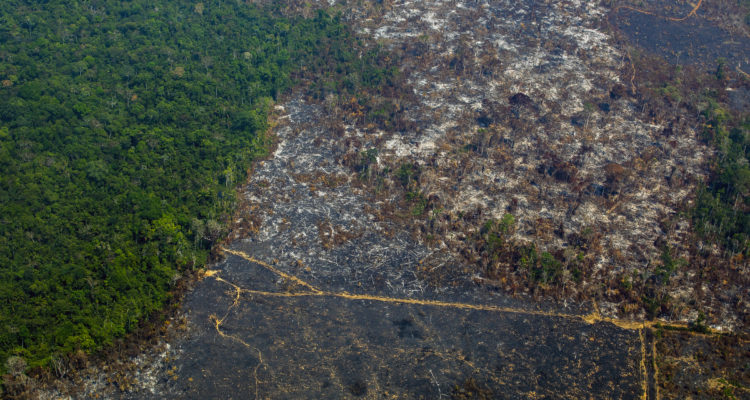 Joao Laet | Agence France-Presse
