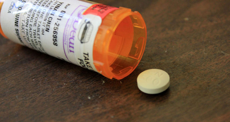 Yinan Chen | Wikipedia (CC)