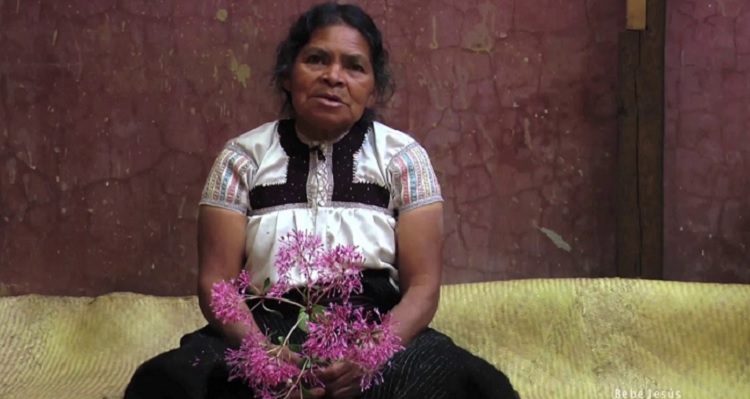 Mujeres Espíritu, Francisco Huichaqueo (c)