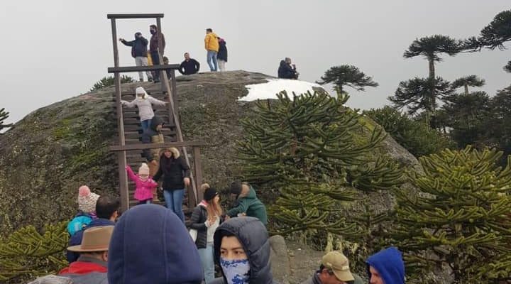 No entendieron: familias ingresan a Parque Nahuelbuta pese a estar cerrado  por pandemia | Nacional | BioBioChile