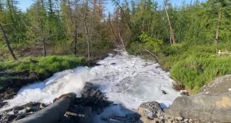 Captura | @novaya_gazeta