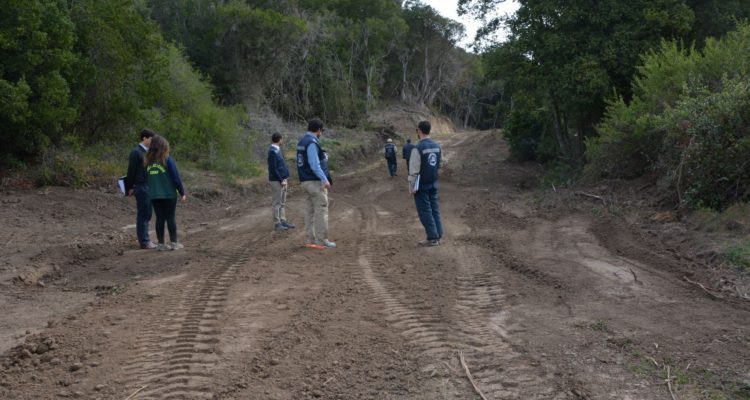 ARCHIVO | Tribunal Ambiental de Santiago
