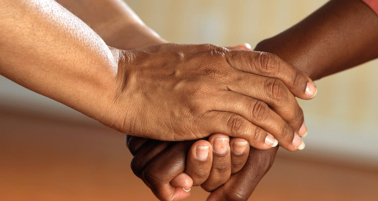 Pixabay | Pexels (CCO)