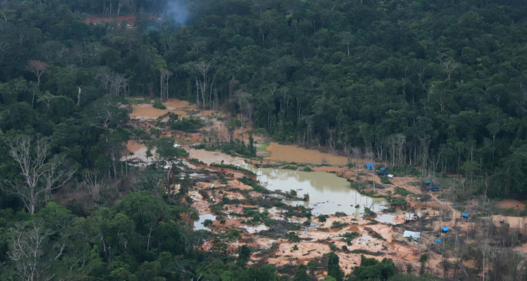 Chico Batata | Greenpeace | Agence France-Presse