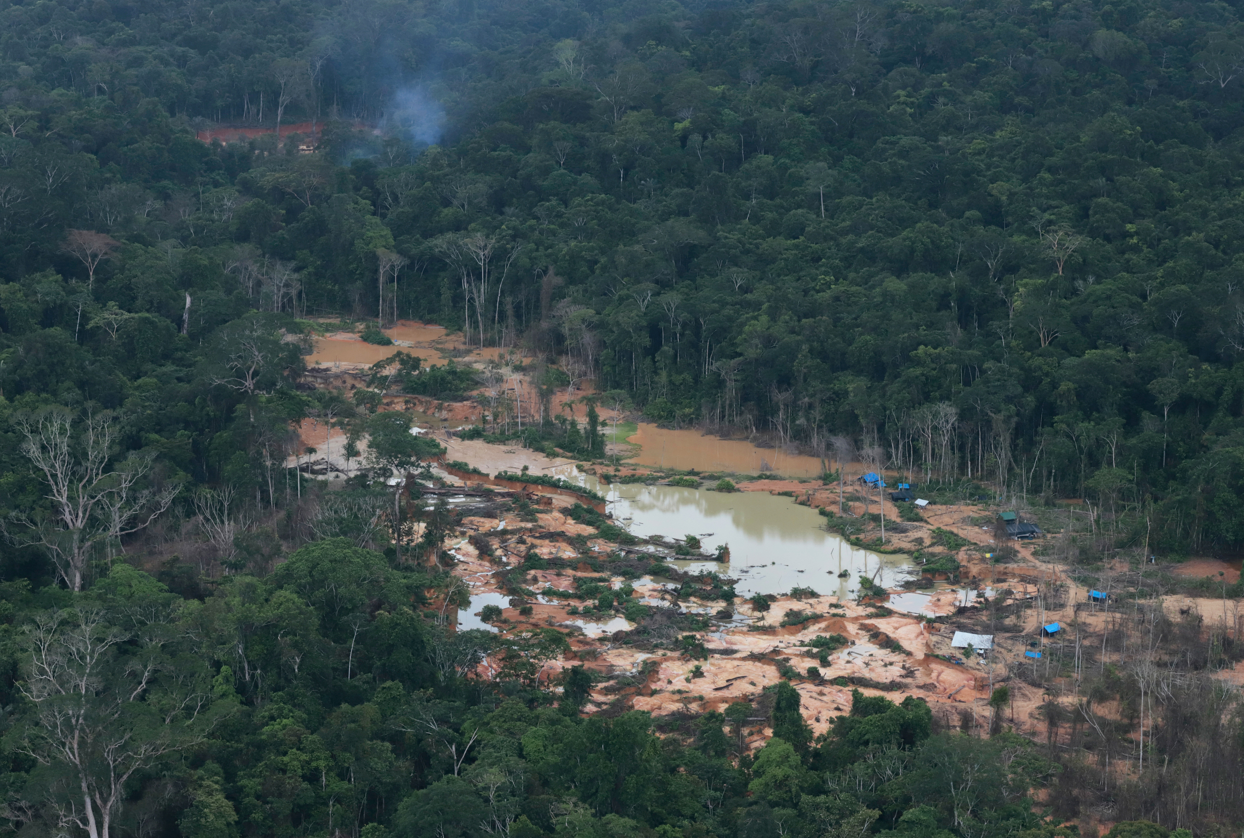 Chico Batata | Greenpeace | Agence France-Presse