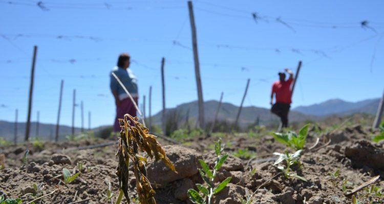 Contexto | Francisco Longa | Agencia UNO