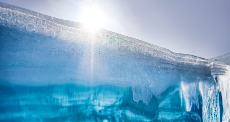 Simon Matzinger | Pexels (COO)