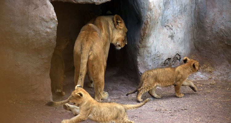 ARCHIVO | Jose Francisco Zuñiga | Agencia UNO