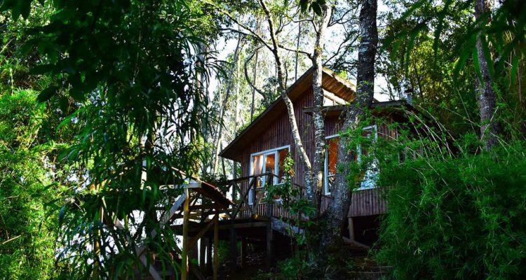 Archivo | Wenu Mapu – Facebook