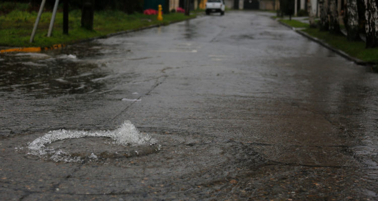 ARCHIVO | Sebastian Brogca | Agencia UNO