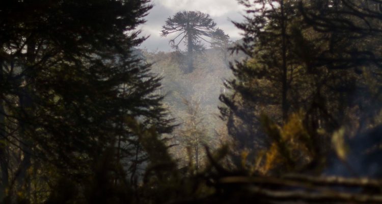 Archivo | Agencia UNO