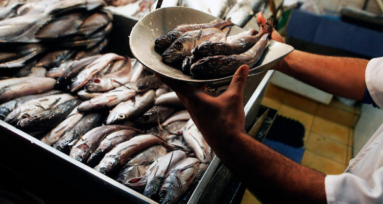 ARCHIVO | Cristobal Escobar | Agencia UNO