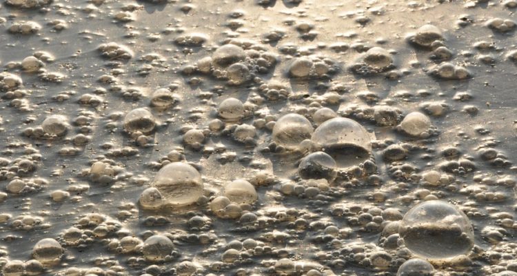 Contexto | Max Pixel