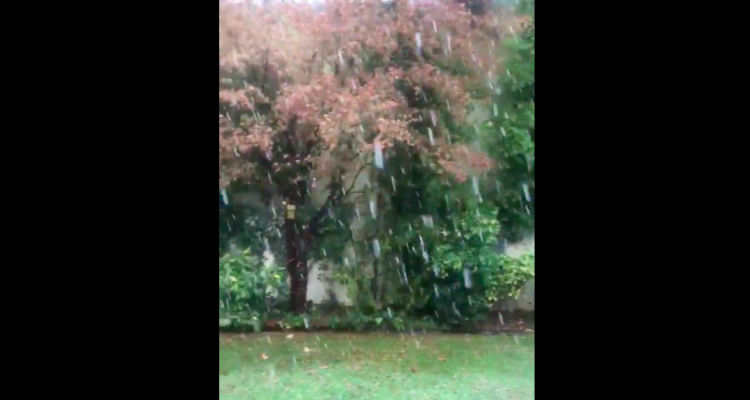 Captura video Twitter