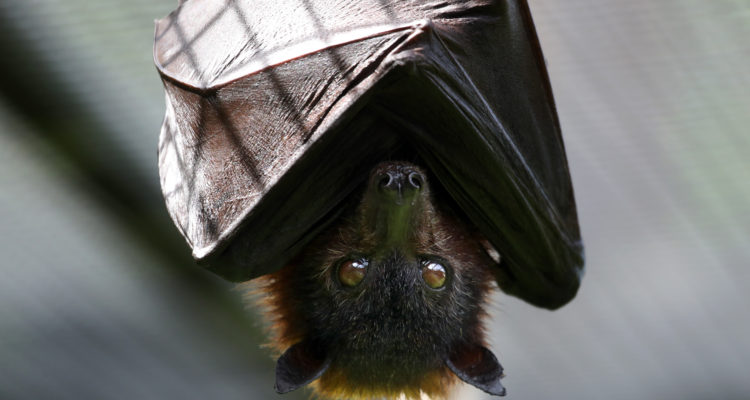 Justin Sullivan | Getty Images | Agence France-Presse