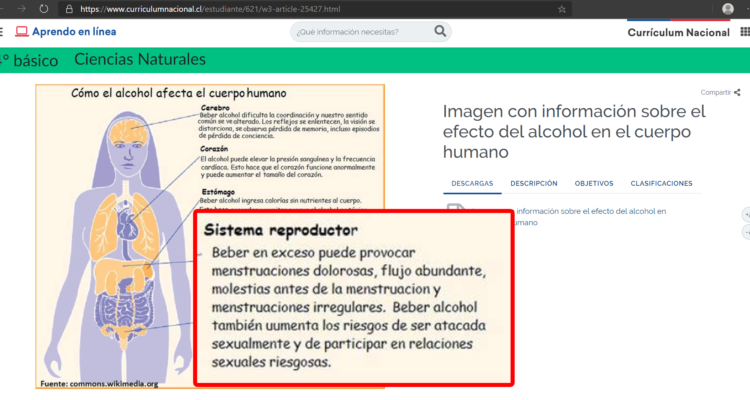 Captura | Curriculum Nacional