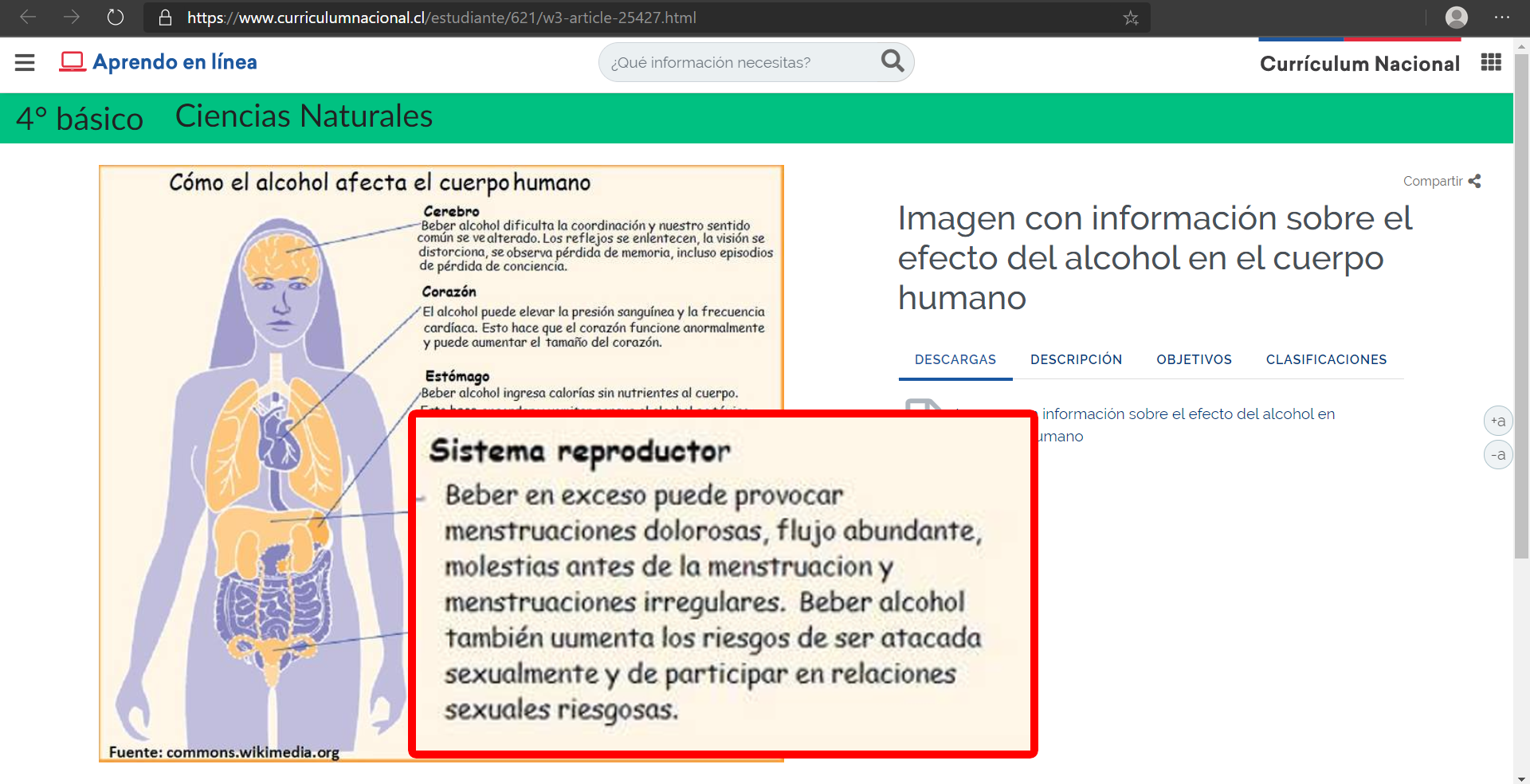 Captura | Curriculum Nacional