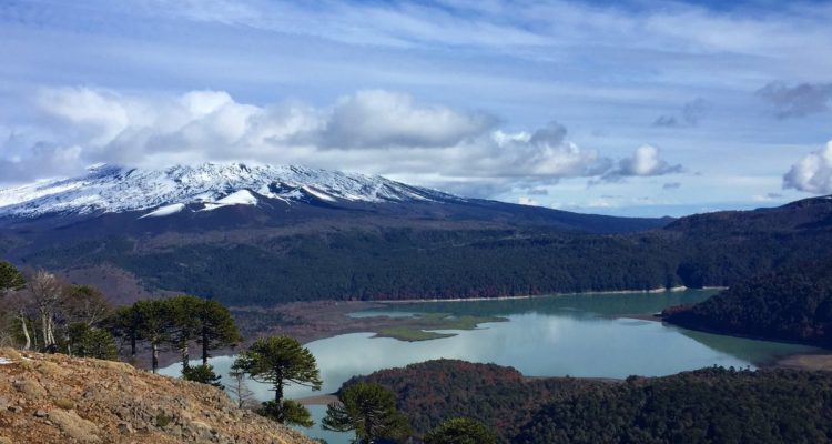 Contexto | 
Twitter | @NachoOrtega