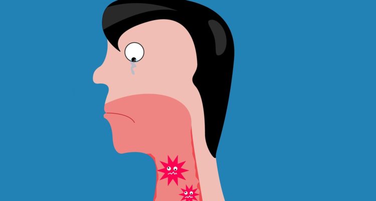 Ary setyobudi en Pixabay 