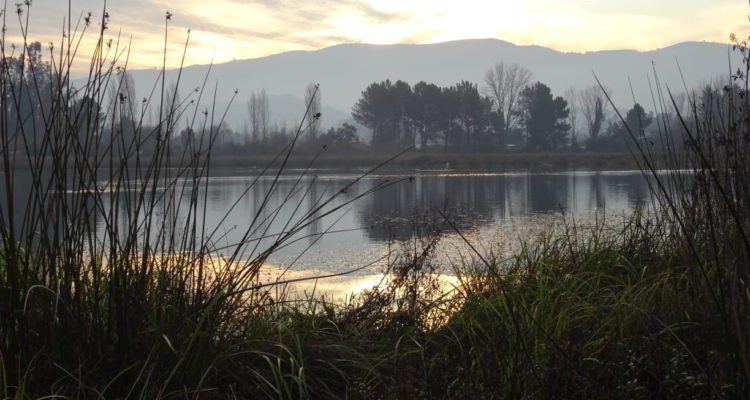 Municipalidad de Quillón