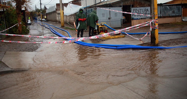 El Bosque | José Francisco Zúñiga | Agencia Uno