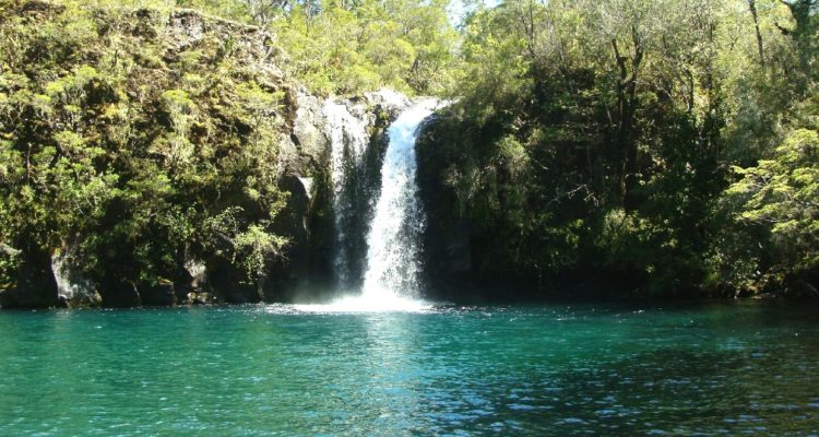 Parque Vicente Pérez Rosales | Conaf