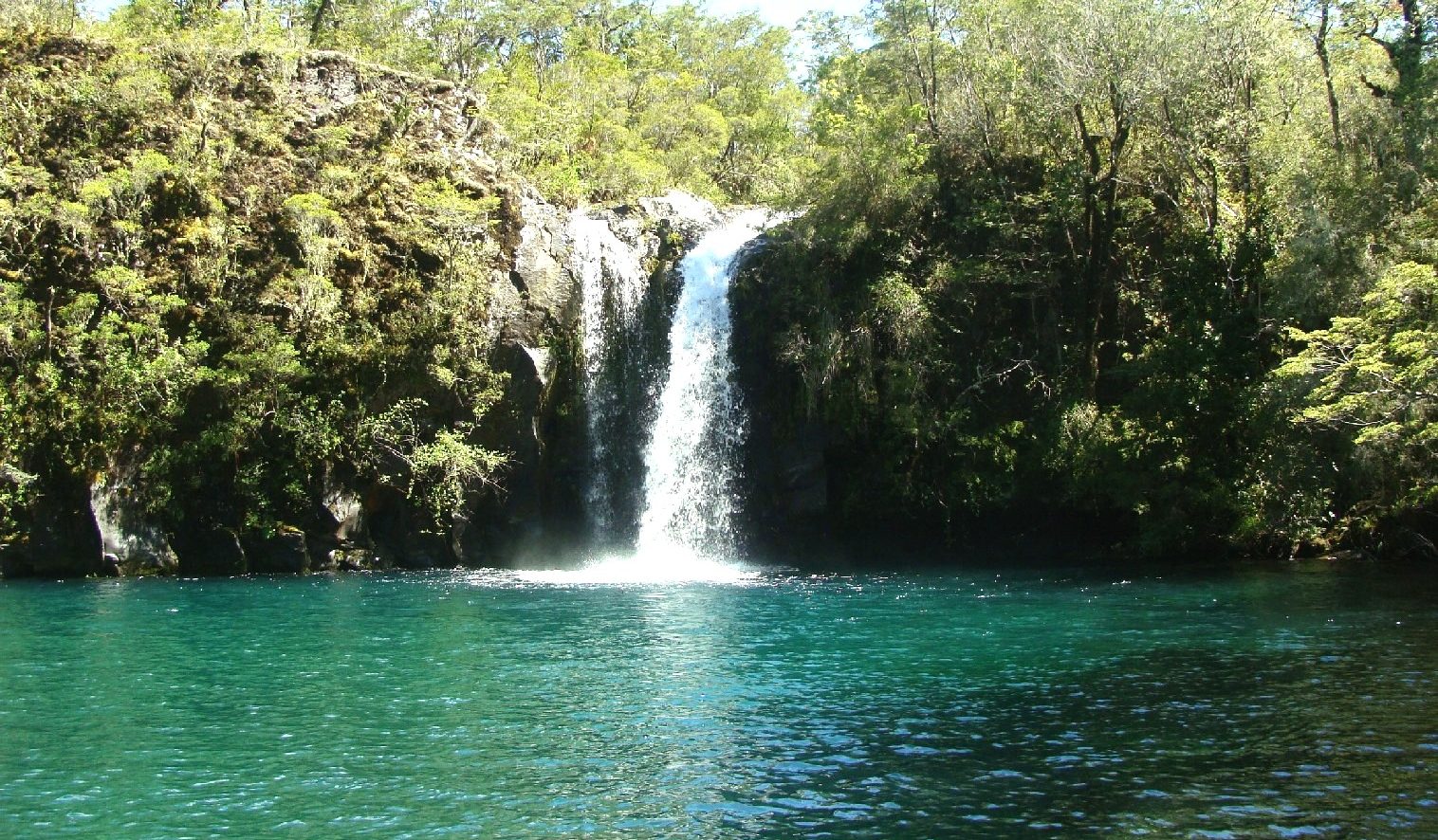 Parque Vicente Pérez Rosales | Conaf