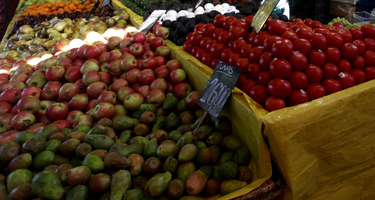 CONTEXTO | Ailen Díaz | Agencia Uno