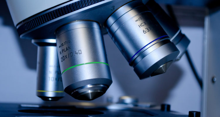 Public Domain Pictures | Pexels (CCO)