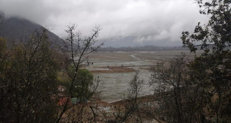 Que no muera Aculeo en Facebook