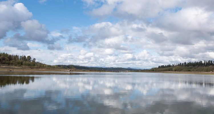 ARCHIVO | Miguel Moya | Agencia UNO