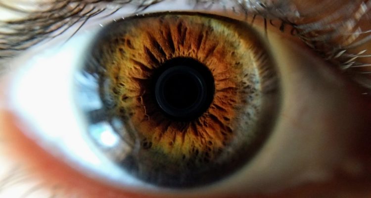 Pexels | Rebecca Swafford