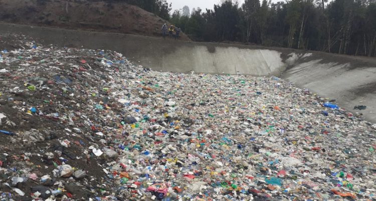 Cristian Valdebenito | RBB