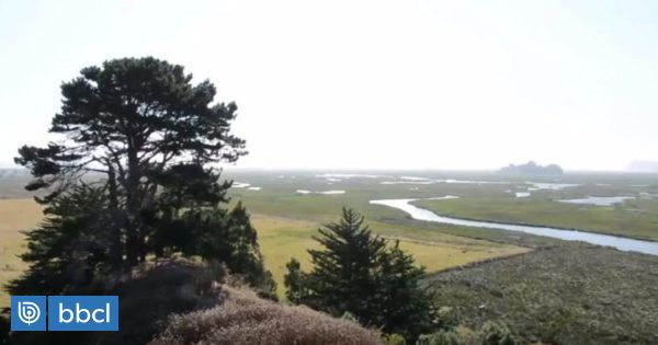 Humedal Moncul de Carahue es reconocido como el primer sitio Ramsar de