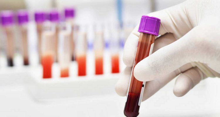 Universidad de Chile