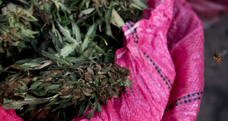 Archivo | Agencia UNO