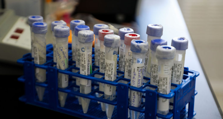 ARCHIVO | Karl Grawe  | Agencia UNO